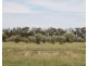 . BALONNE Highway, St George QLD 4487