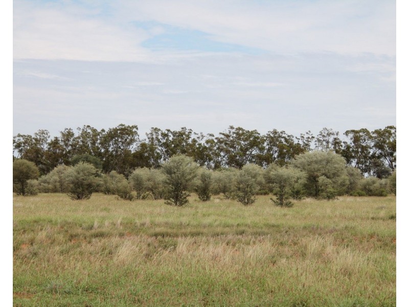 . BALONNE Highway, St George QLD 4487