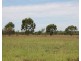 . BALONNE Highway, St George QLD 4487