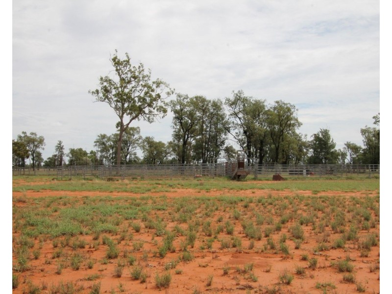 . BALONNE Highway, St George QLD 4487