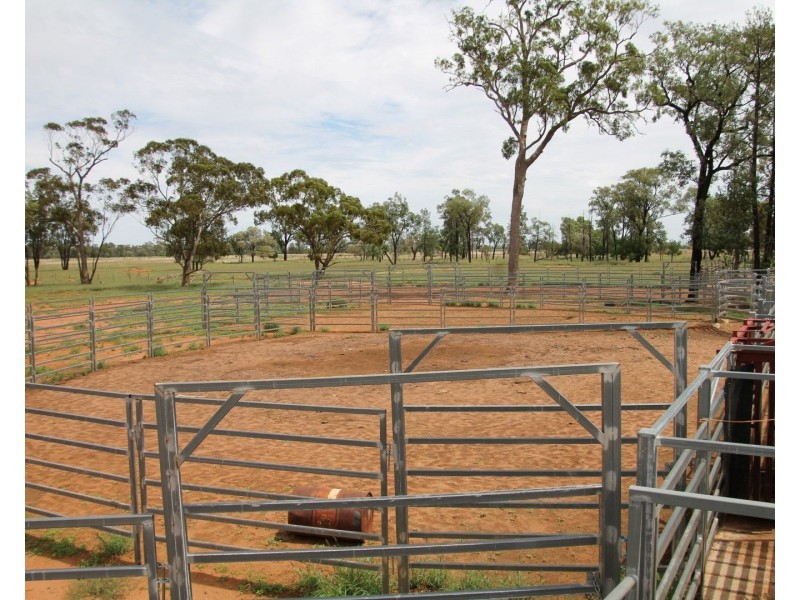. BALONNE Highway, St George QLD 4487