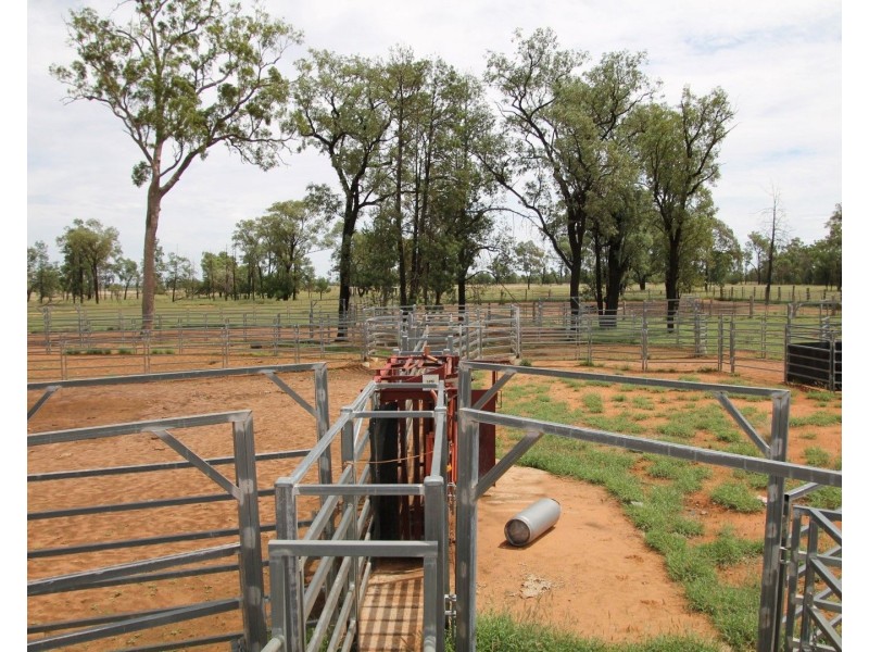 . BALONNE Highway, St George QLD 4487