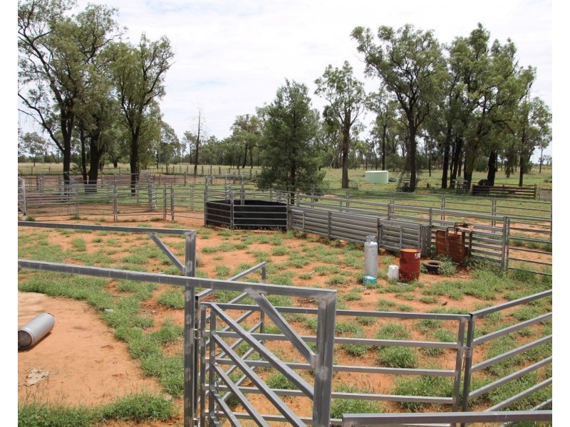 . BALONNE Highway, St George QLD 4487