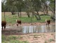 . BALONNE Highway, St George QLD 4487