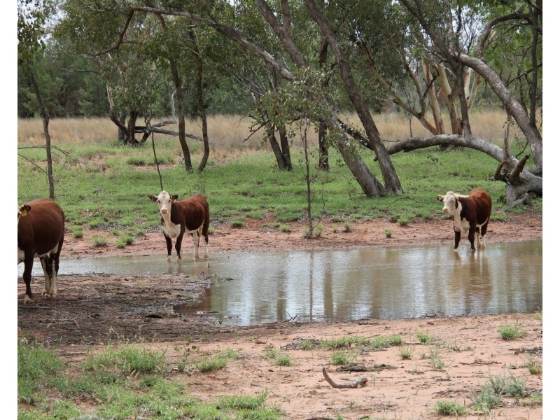 . BALONNE Highway, St George QLD 4487