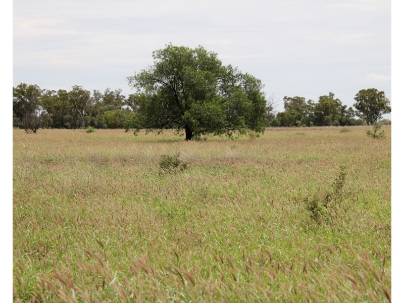 . BALONNE Highway, St George QLD 4487