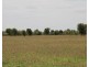 . BALONNE Highway, St George QLD 4487