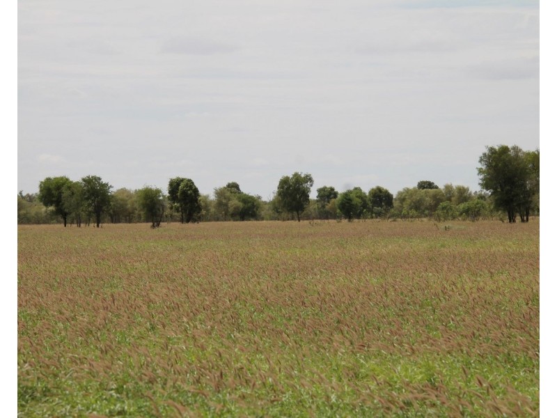. BALONNE Highway, St George QLD 4487