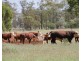 . BALONNE Highway, St George QLD 4487