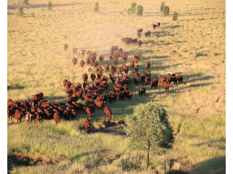 34 Lynns Creek Road, Condamine QLD 4416