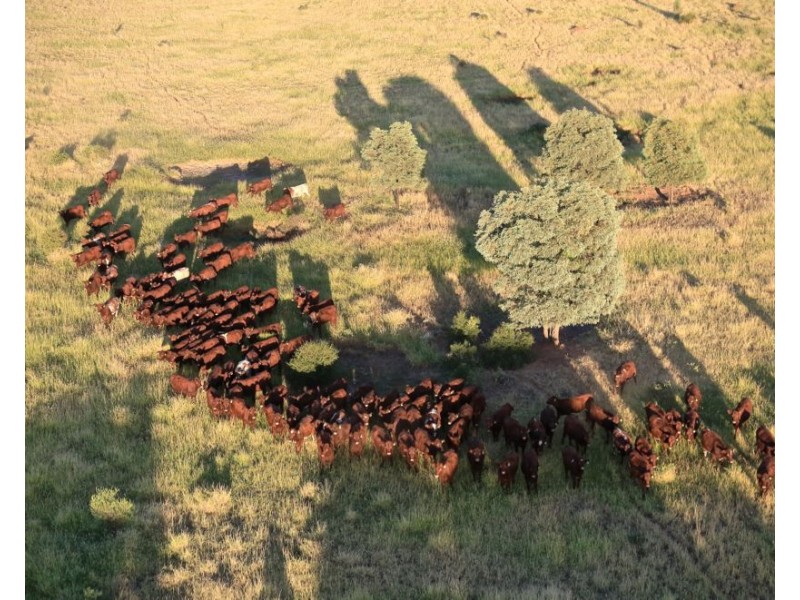 34 Lynns Creek Road, Condamine QLD 4416