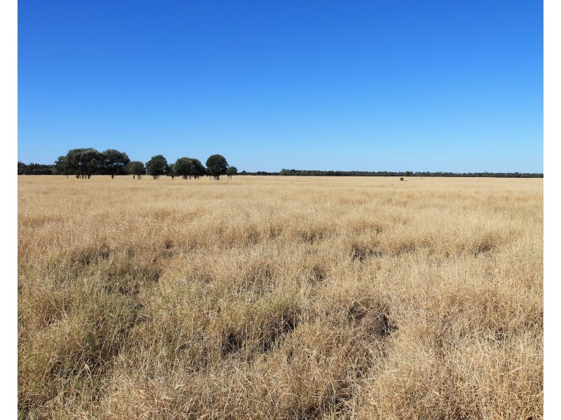 34 Lynns Creek Road, Condamine QLD 4416