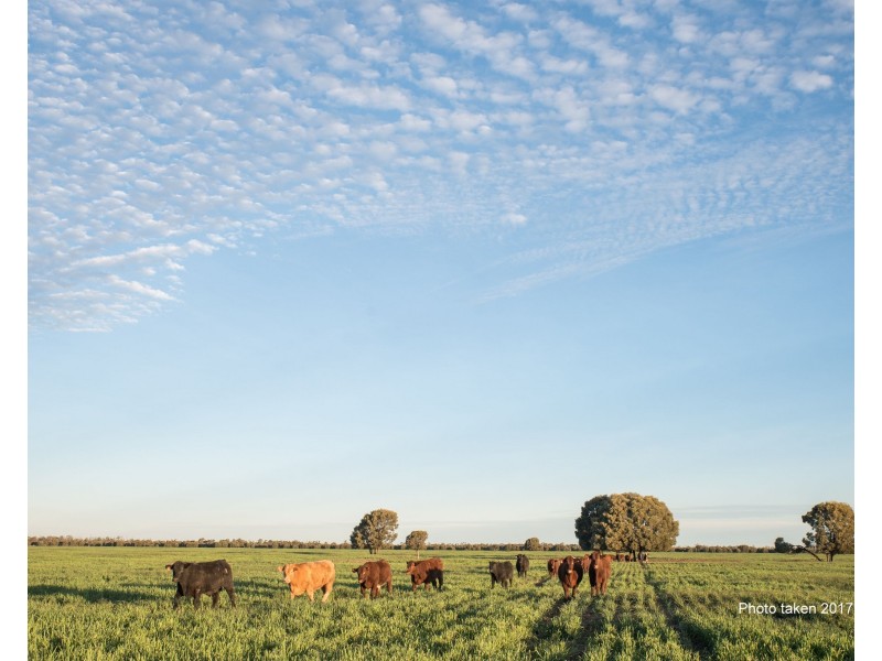 34 Lynns Creek Road, Condamine QLD 4416