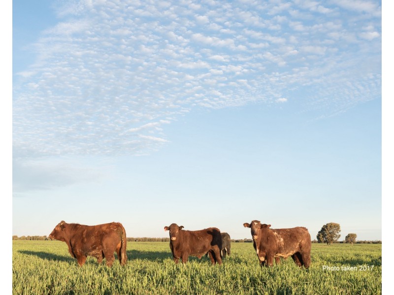 34 Lynns Creek Road, Condamine QLD 4416