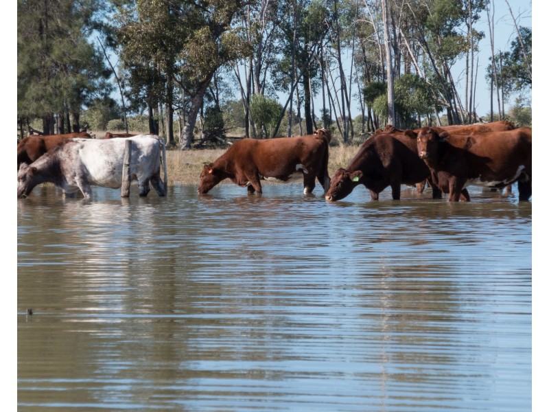 34 Lynns Creek Road, Condamine QLD 4416