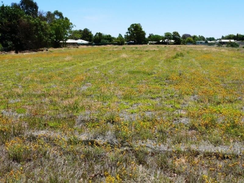 35 Dyball Street, St George QLD 4487