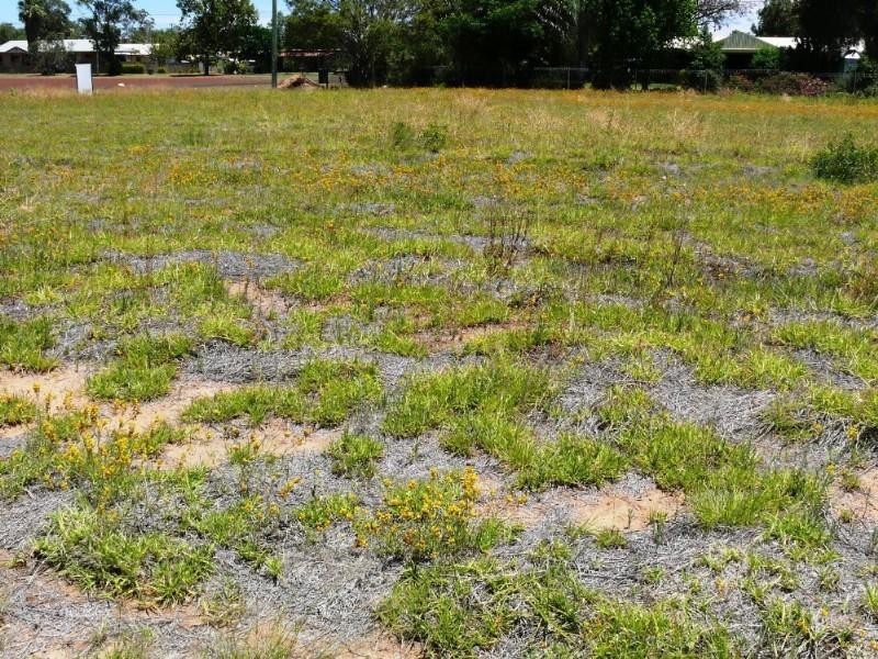 35 Dyball Street, St George QLD 4487