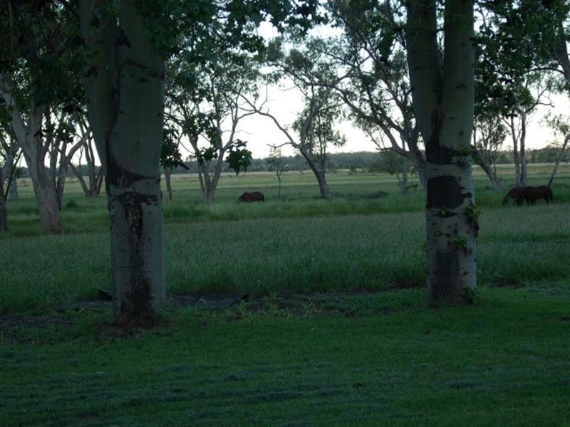 0 Thomby Road, St George QLD 4487