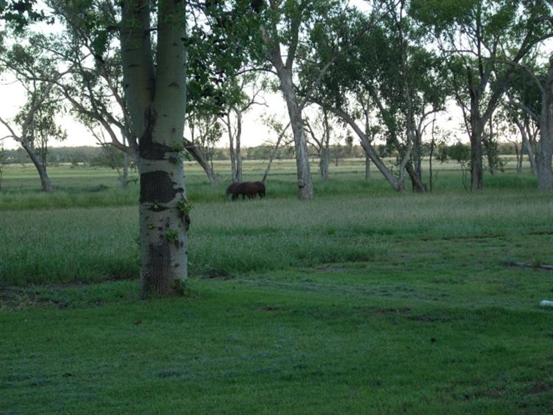 0 Thomby Road, St George QLD 4487