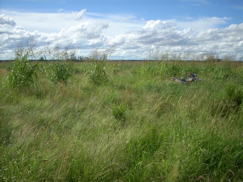 0 Thomby Road, St George QLD 4487