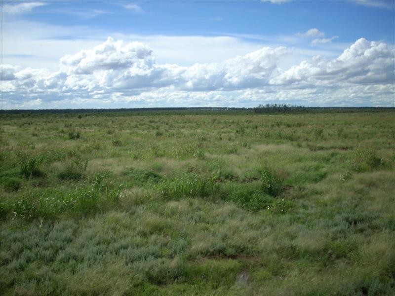 0 Thomby Road, St George QLD 4487