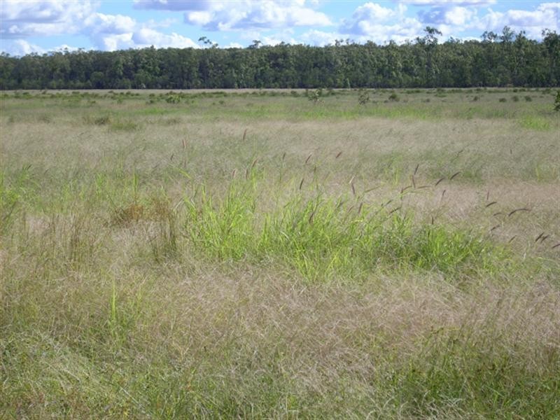 0 Thomby Road, St George QLD 4487