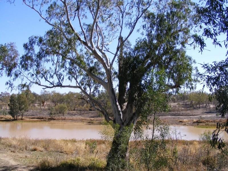 Lot 3 Whytes Road, St George QLD 4487