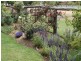 2 Cutler Court, St George QLD 4487