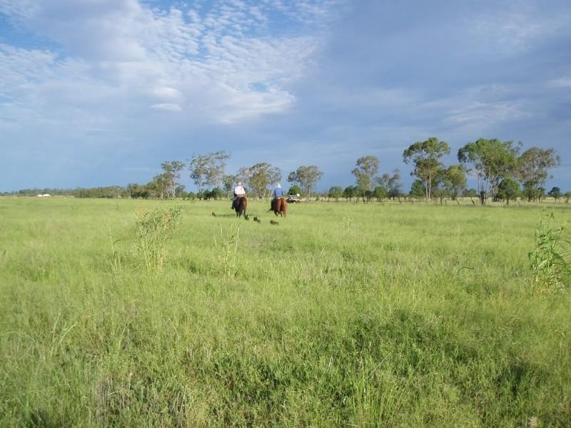 0 Moonie Highway, St George QLD 4487