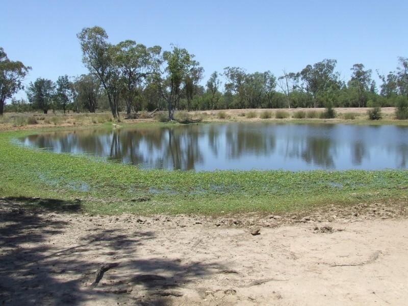 0 Moonie Highway, St George QLD 4487