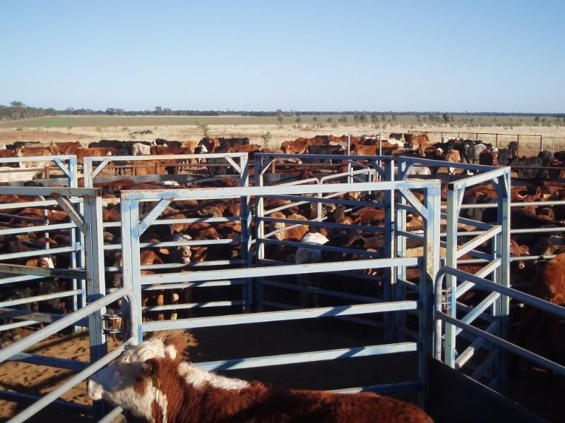 0 Moonie Highway, St George QLD 4487