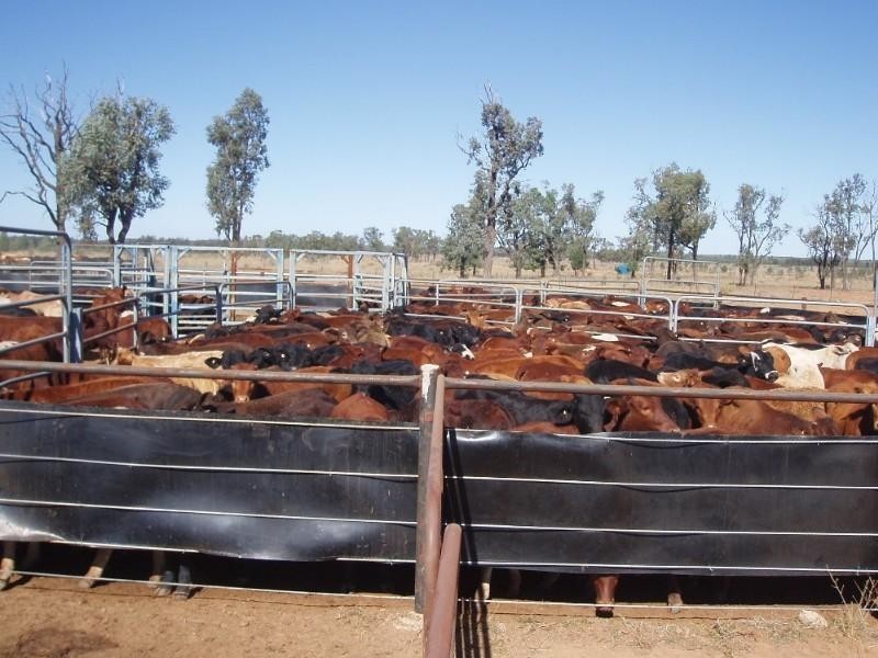 0 Moonie Highway, St George QLD 4487