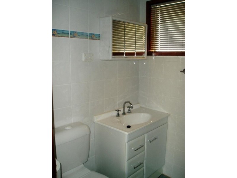 84 Alfred Street, St George QLD 4487