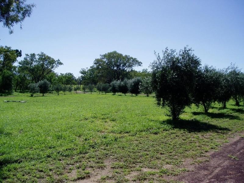 222 Whytes Road, St George QLD 4487