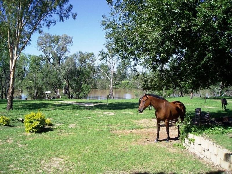 222 Whytes Road, St George QLD 4487