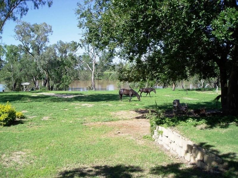 222 Whytes Road, St George QLD 4487