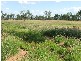 Lot 60 willowthal Road, St George QLD 4487