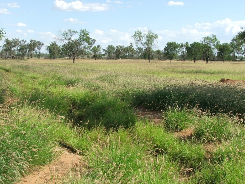 Lot 60 willowthal Road, St George QLD 4487