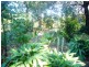 10 The Terrace, St George QLD 4487