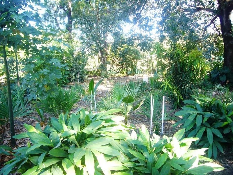 10 The Terrace, St George QLD 4487