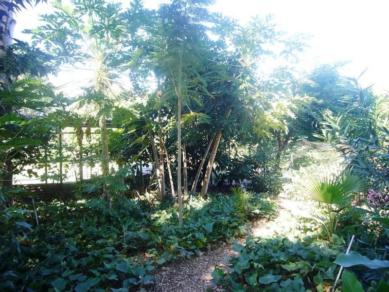 10 The Terrace, St George QLD 4487