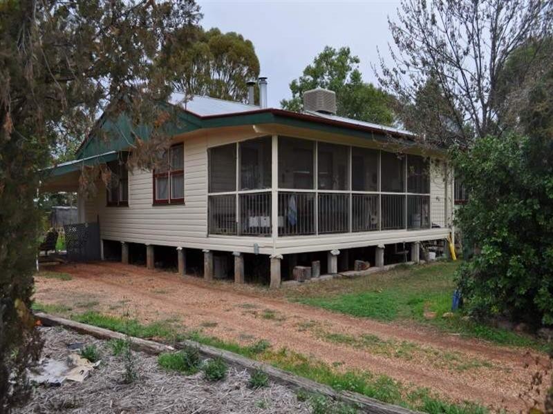 31 Cowildi Street, Dirranbandi QLD 4486