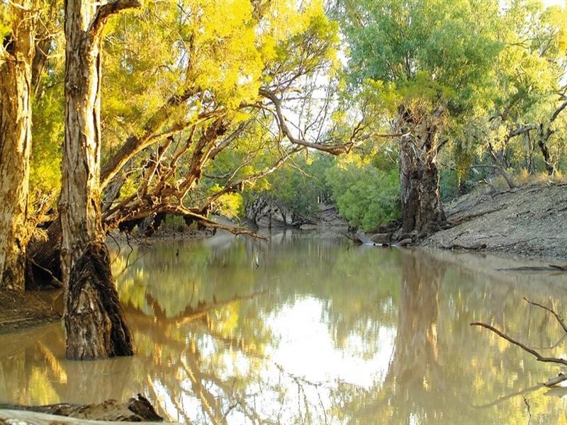 0 Ballandool Road, Hebel QLD 4486