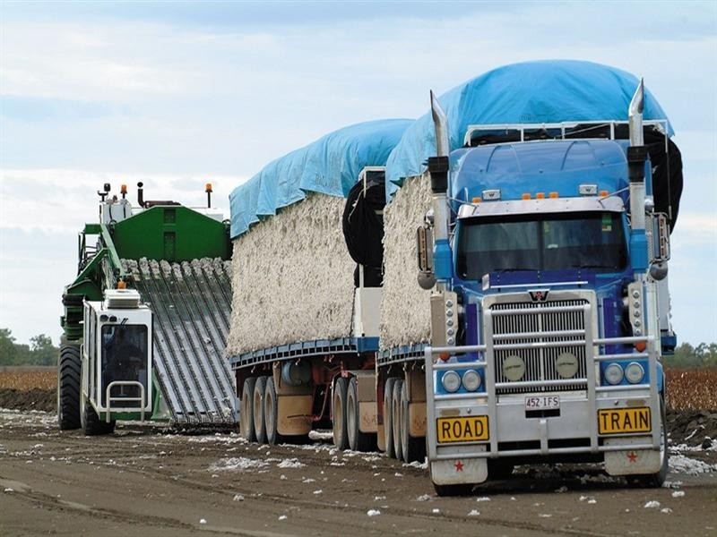 0 Ballandool Road, Hebel QLD 4486