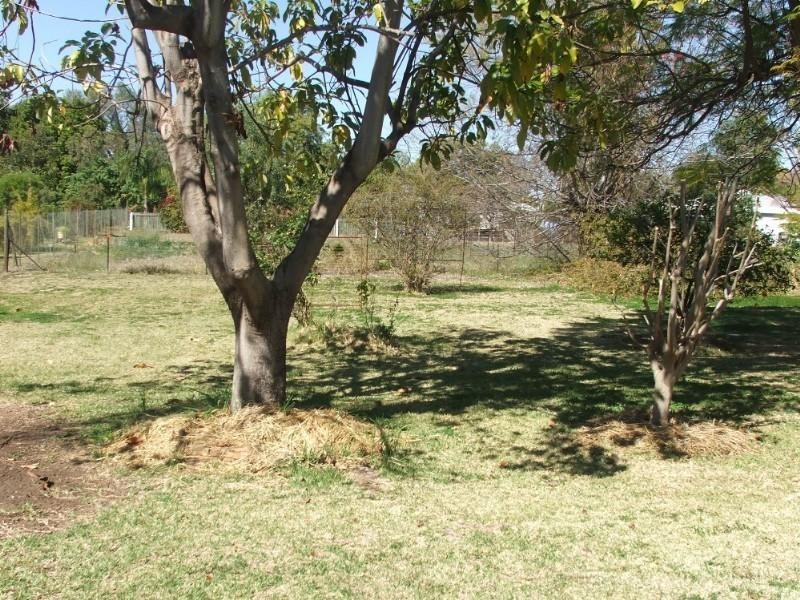 14 The Terrace, St George QLD 4487