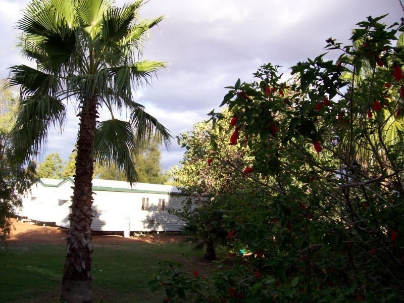 Dirranbandi QLD 4486