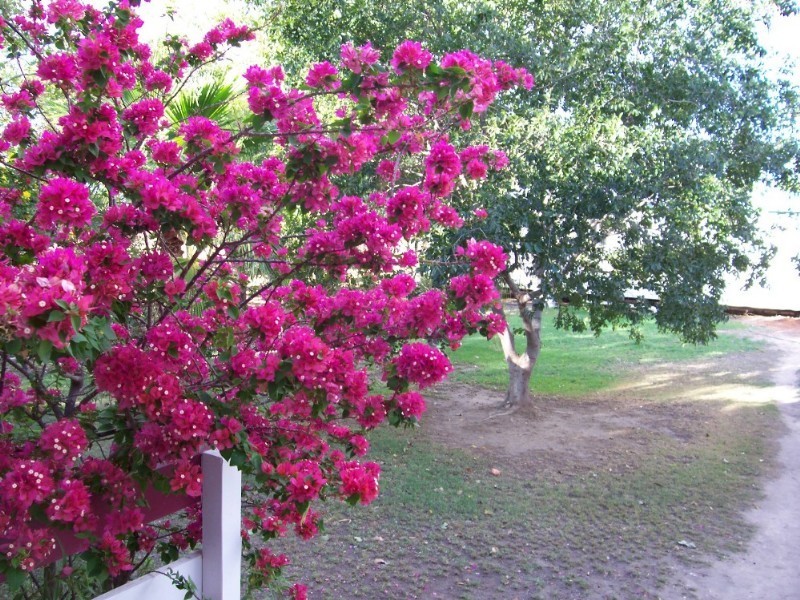 Dirranbandi QLD 4486