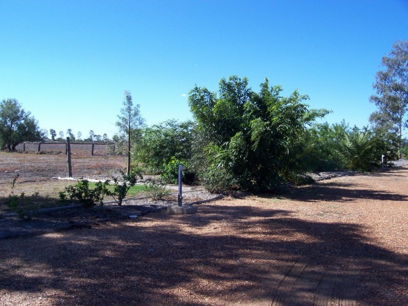 Dirranbandi QLD 4486