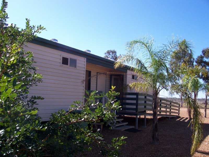 Dirranbandi QLD 4486