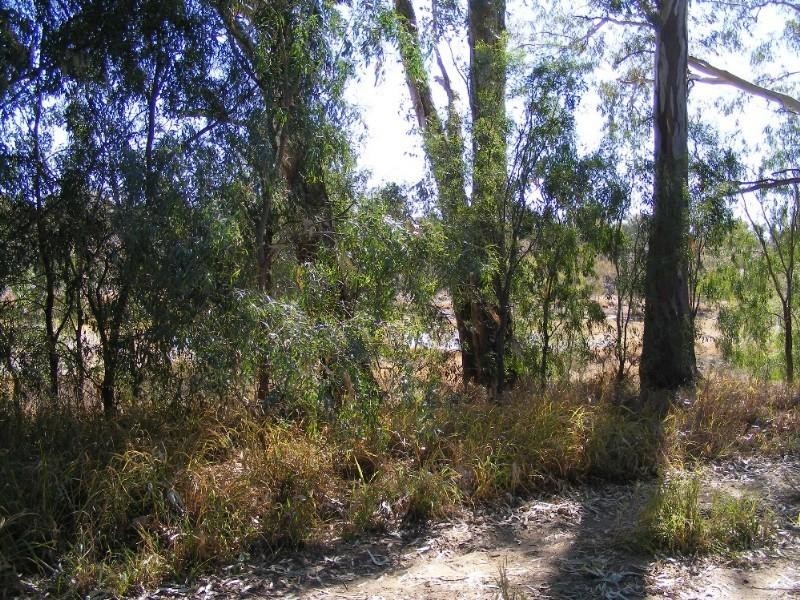 47-49 Albert Street, St George QLD 4487